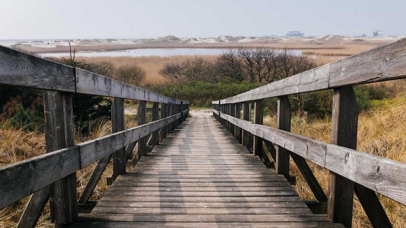 四季养生全攻略:顺应天时,解锁全年健康密码