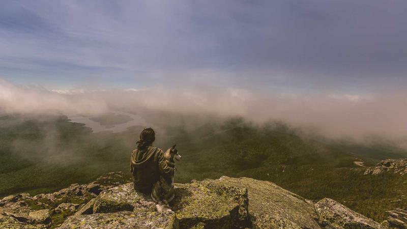 中医养生新视角:顺应天时,激活身体自愈力