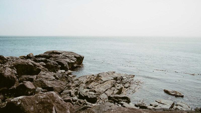 中医养生全攻略:顺应天时,激活身体自愈力