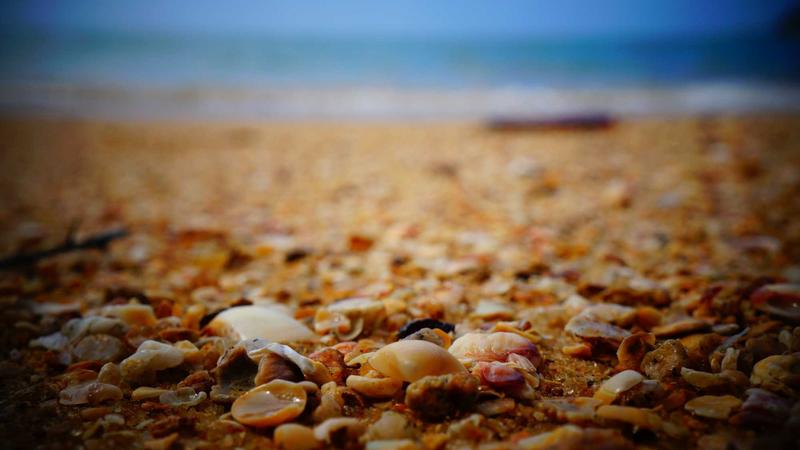 解锁饮食密码:科学营养搭配,吃出健康好身体