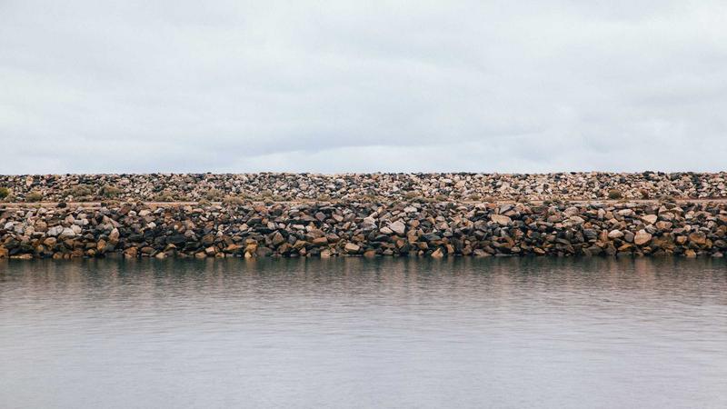 吃出免疫力:解锁饮食营养的黄金搭配法则