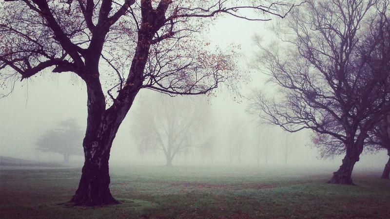 心理养生新视角：用科学方法给心灵做个“SPA”