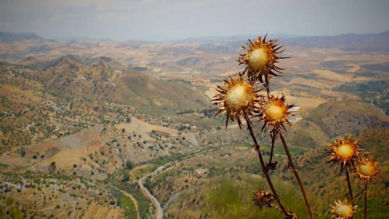 中医养生全攻略:顺应天时,解锁四季健康密码