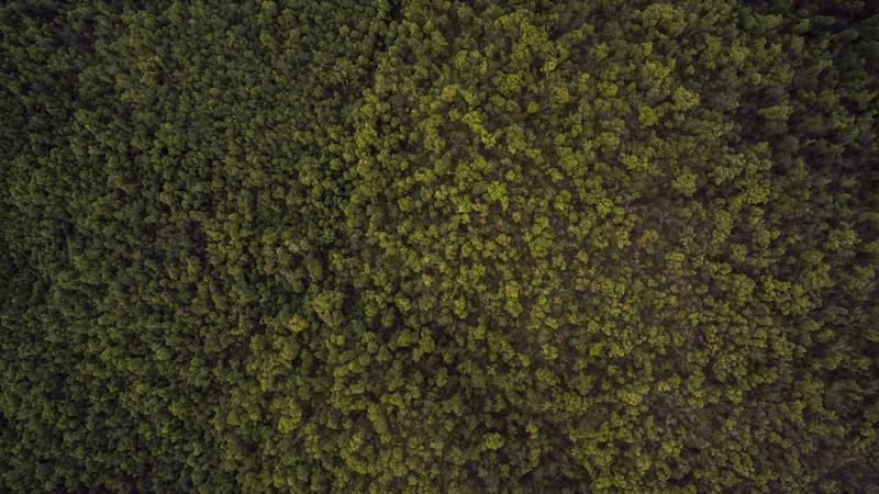 科学运动全攻略：解锁身体活力密码，让健身事半功倍