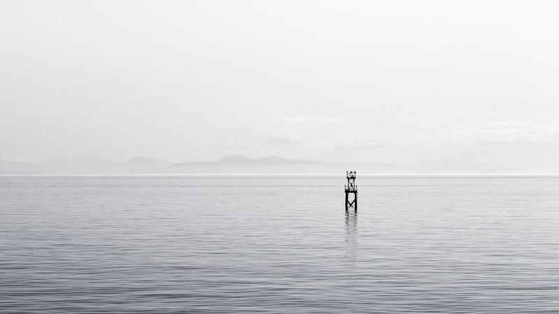 中医养生新视角：四季调和，脏腑同养，健康自然来