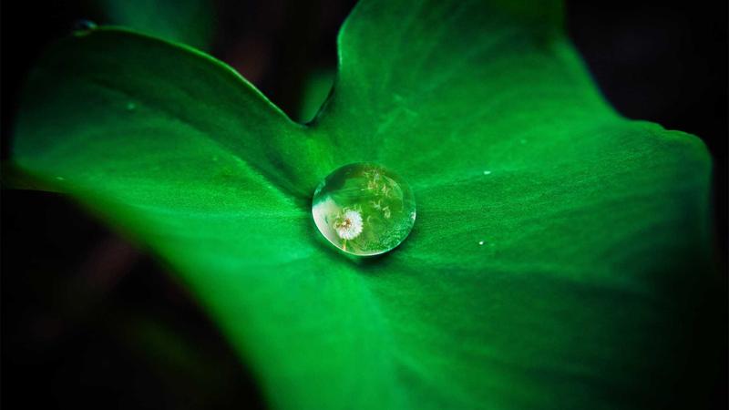 心理养生新视角：用科学方法守护心灵绿洲