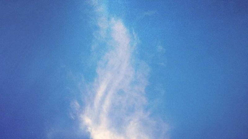 科学运动指南：从入门到进阶的5个黄金法则