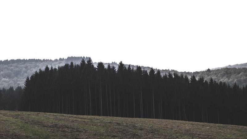 情绪管理秘籍：从压力山到心灵绿洲的蜕变指南