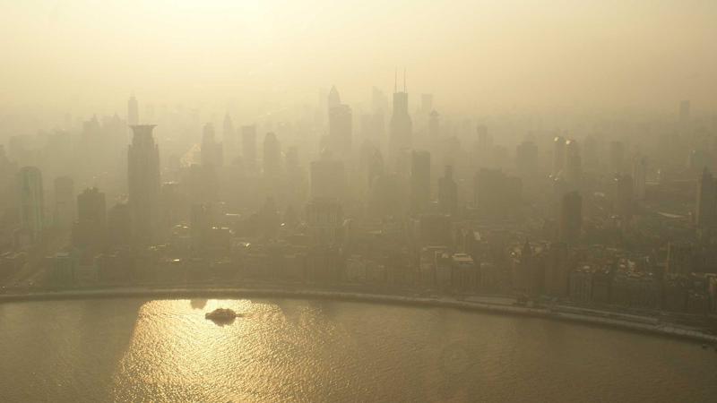 心理养生新视角：5个日常习惯重塑健康心灵绿洲