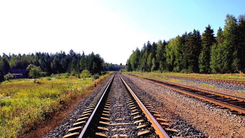 科学运动全攻略：从入门到精通的养生指南
